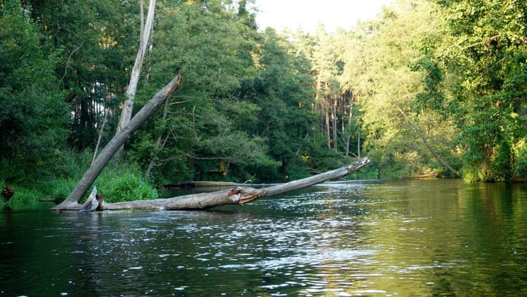 rzeka Drwęca Handlowy Młyn