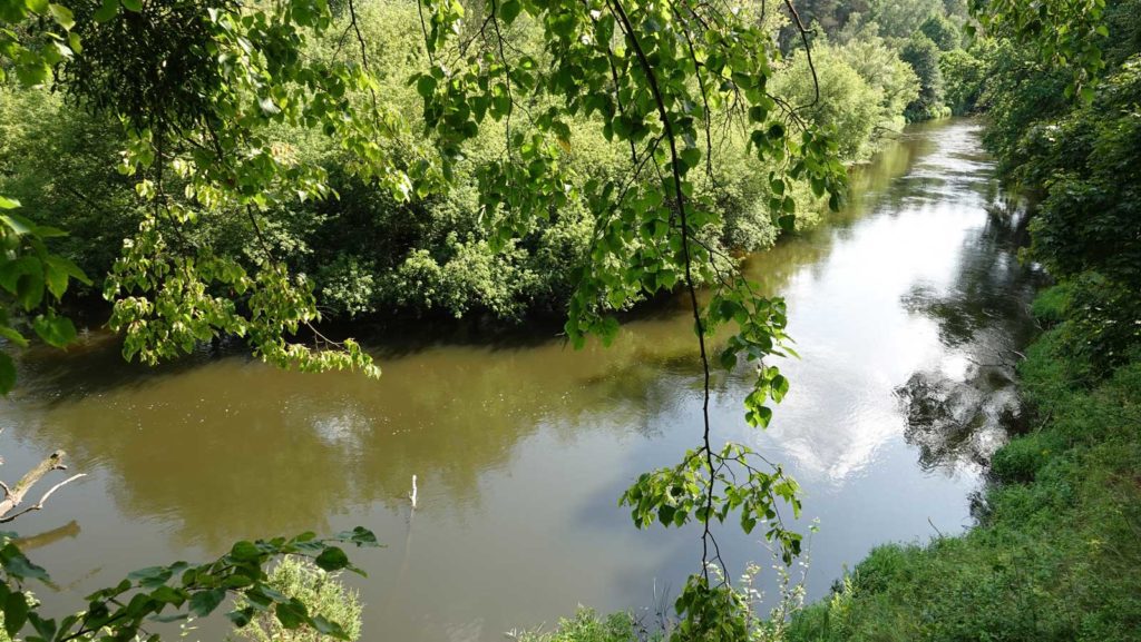 Rzeka Drwęca od Elgiszewa do Młyńca
