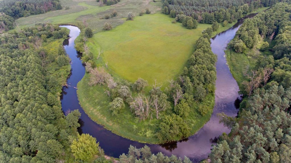 Rzeka Drwęca z lotu ptaka pomiędzy Elgiszewem a Młyńcem