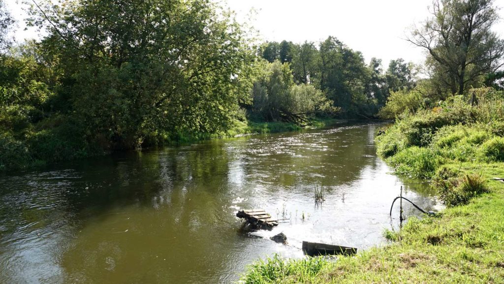 rzeka Drwęca od Lubicza do Złotorii
