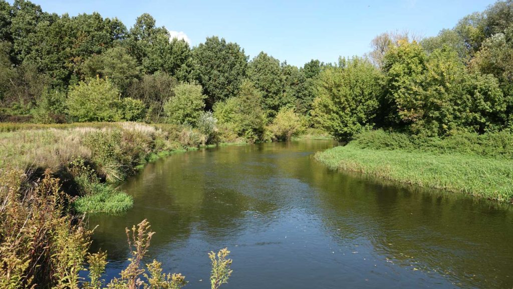 rzeka Drwęca od Lubicza do Złotorii