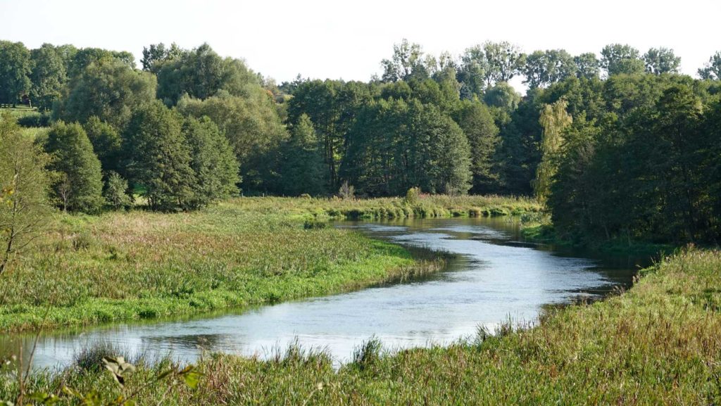 Rzeka Drwęca przed Lubiczem