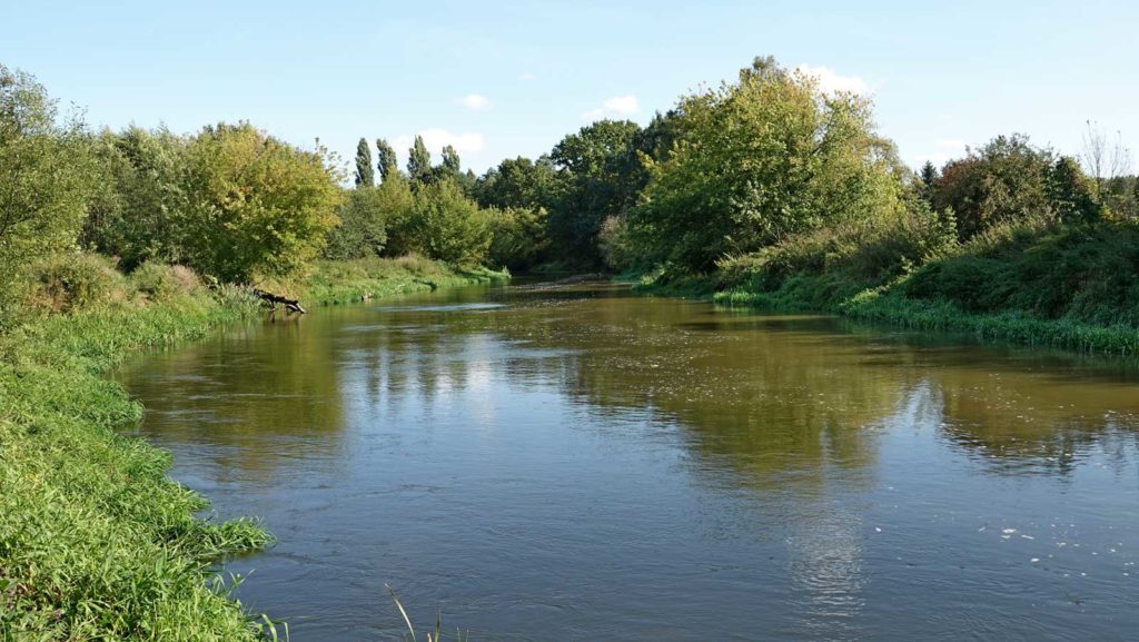 rzeka Drwęca w Lubiczu
