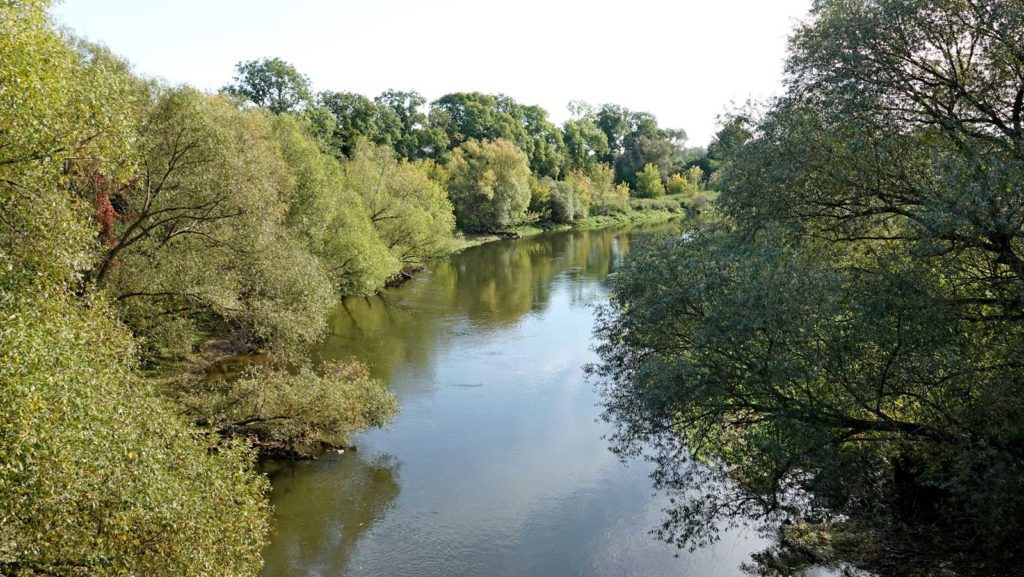 rzeka Drwęca w Złotorii