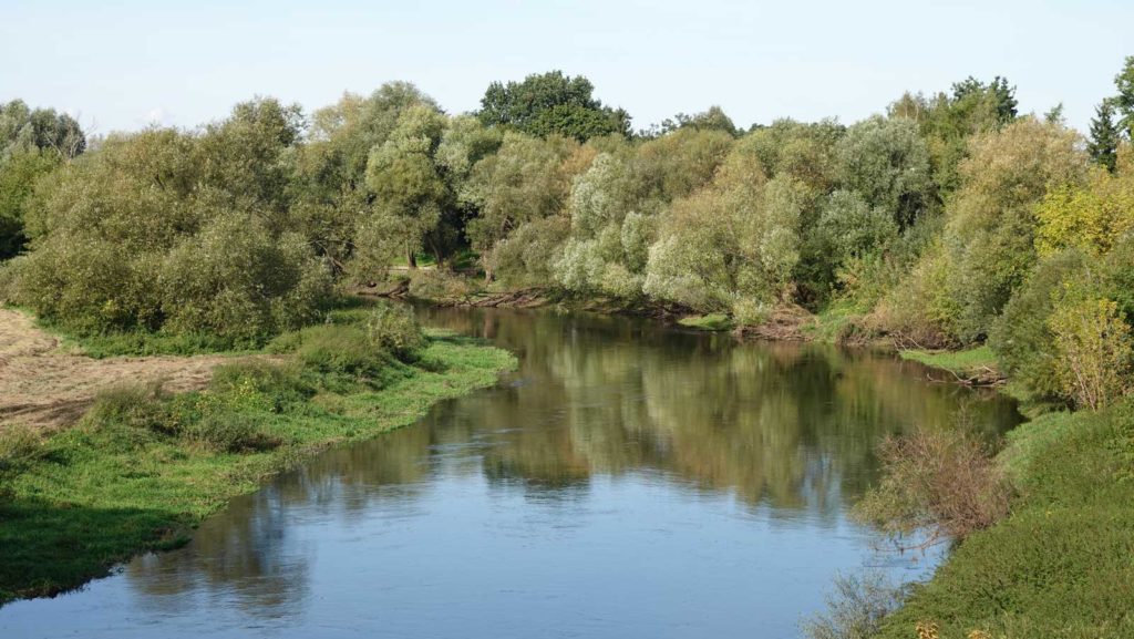 rzeka Drwęca w Złotorii