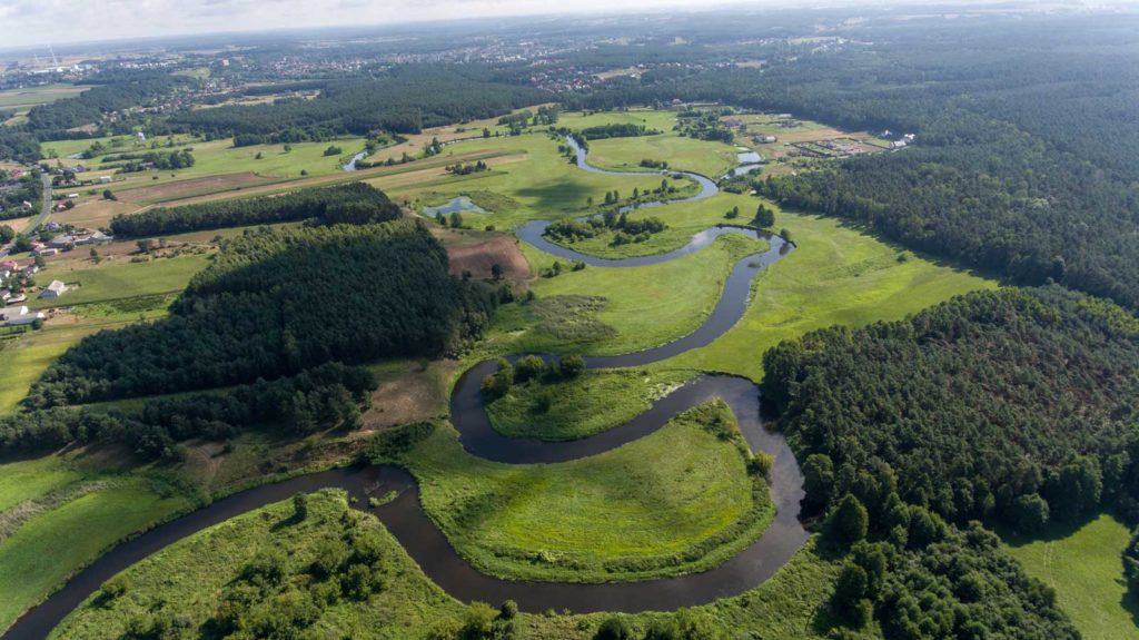 Rzeka Drwęca z lotu ptaka we wsi Olszówka