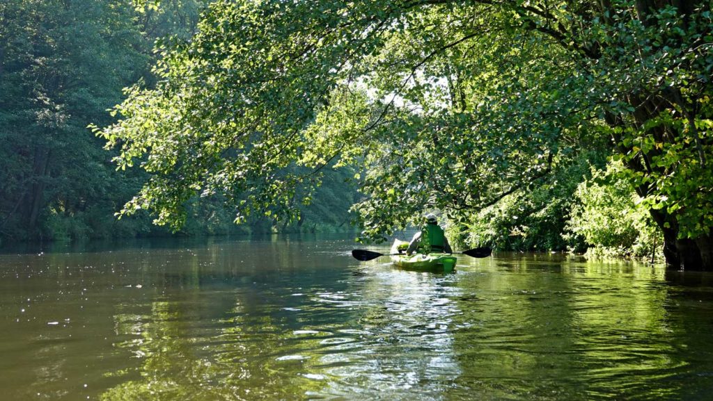 Spływ kajakowy rzeka Drwęca