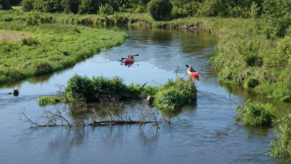 Spływy kajakowe rzeką Drwęcą