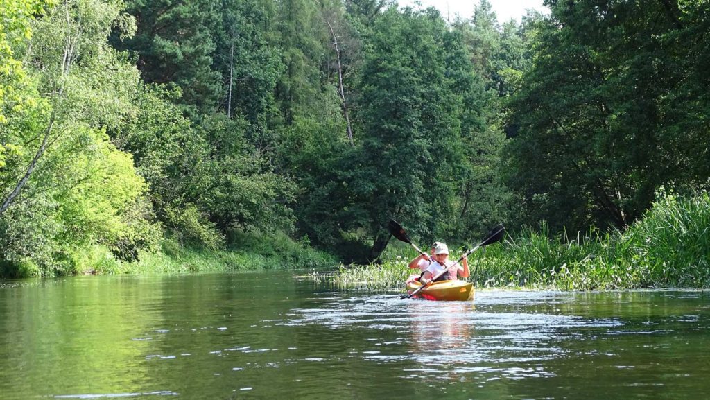 Spływy kajakowe rzeką Drwęcą