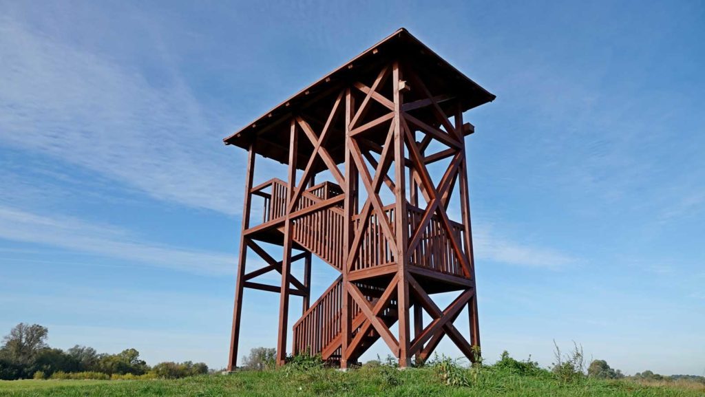 wieża widokowa przy ujściu Drwęcy
