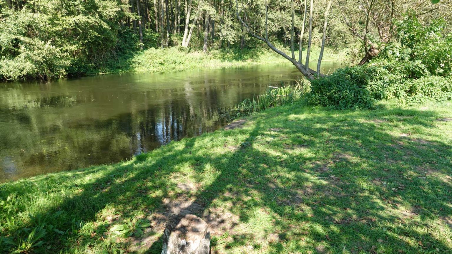 Przystań kajakowa Pusta Dąbrówka