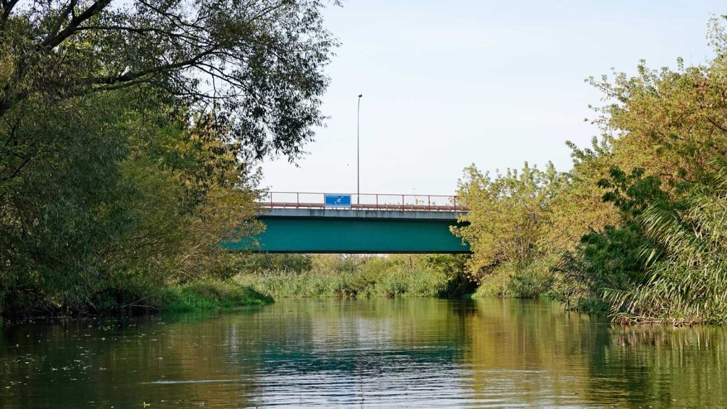 Rzeka Drwęca w Brodnicy