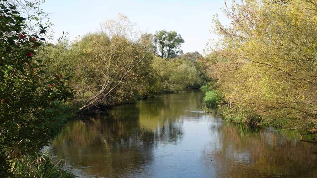 Rzeka Drwęca w Brodnicy