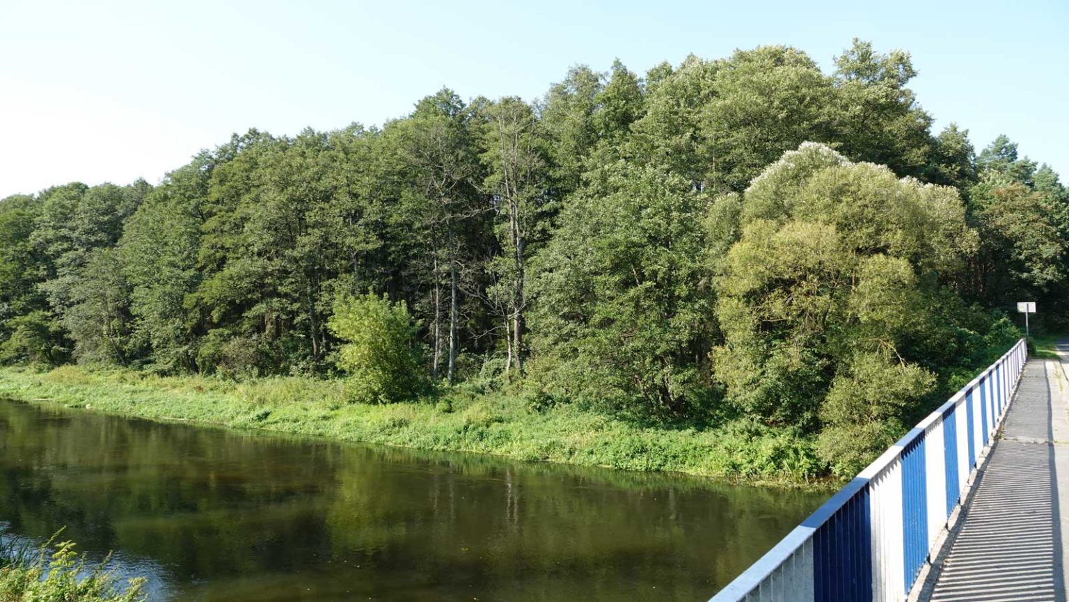 Widok z mostu Radziki - Pusta Dąbrówka