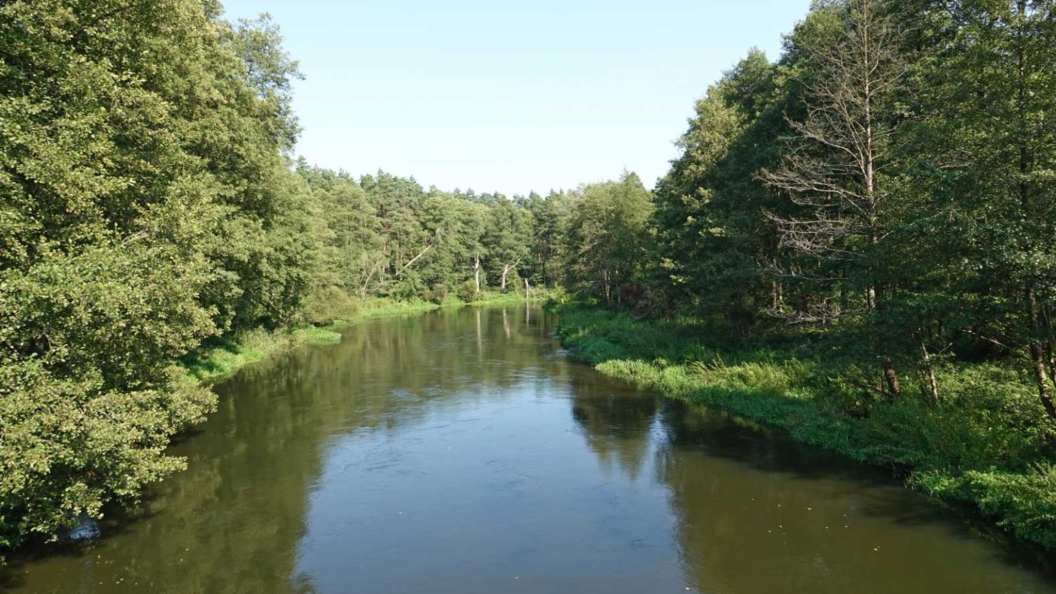 Widok z mostu Radziki - Pusta Dąbrówka