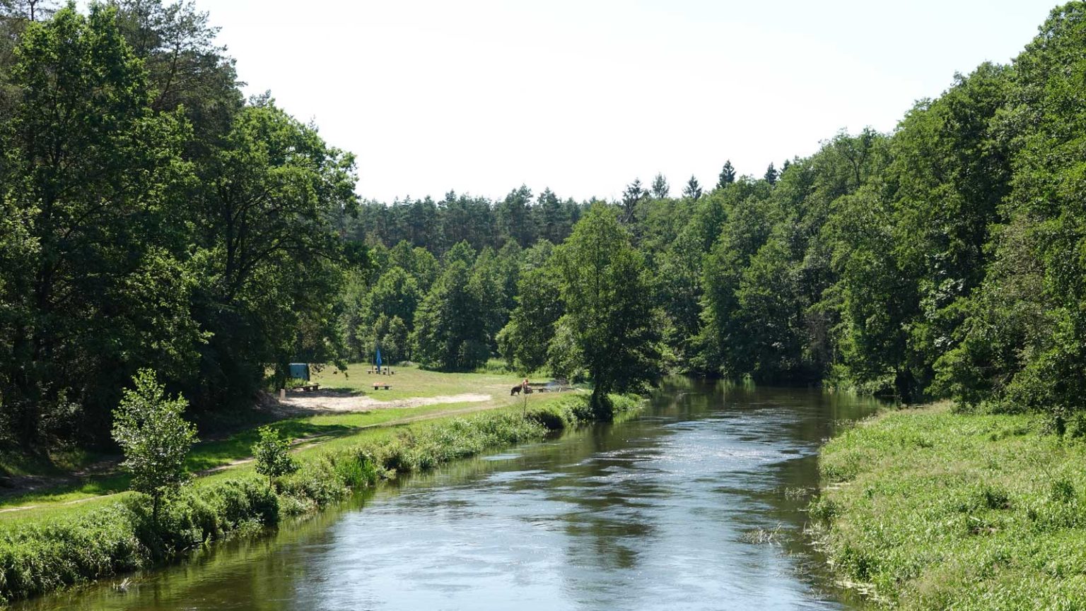 Widok z mostu Radziki - Pusta Dąbrówka